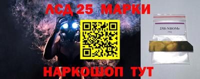 гидра Рязань