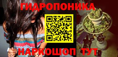 молекула духа Рузаевка