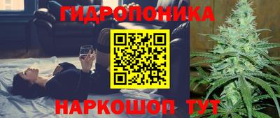 молекула духа Рузаевка