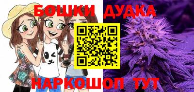 гидра Рязань