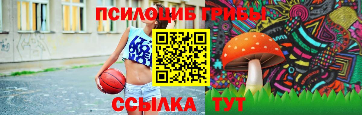 Псилоцибиновые грибы GOLDEN TEACHER Сызрань