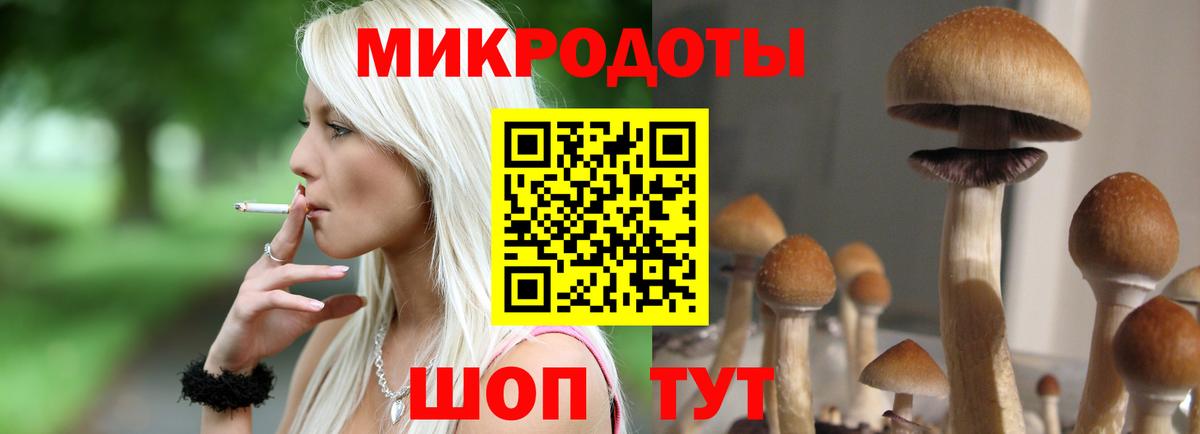 Псилоцибиновые грибы Psilocybine cubensis  Вход с VPN  Сызрань  Галлюциногенные грибы Magic Shrooms 